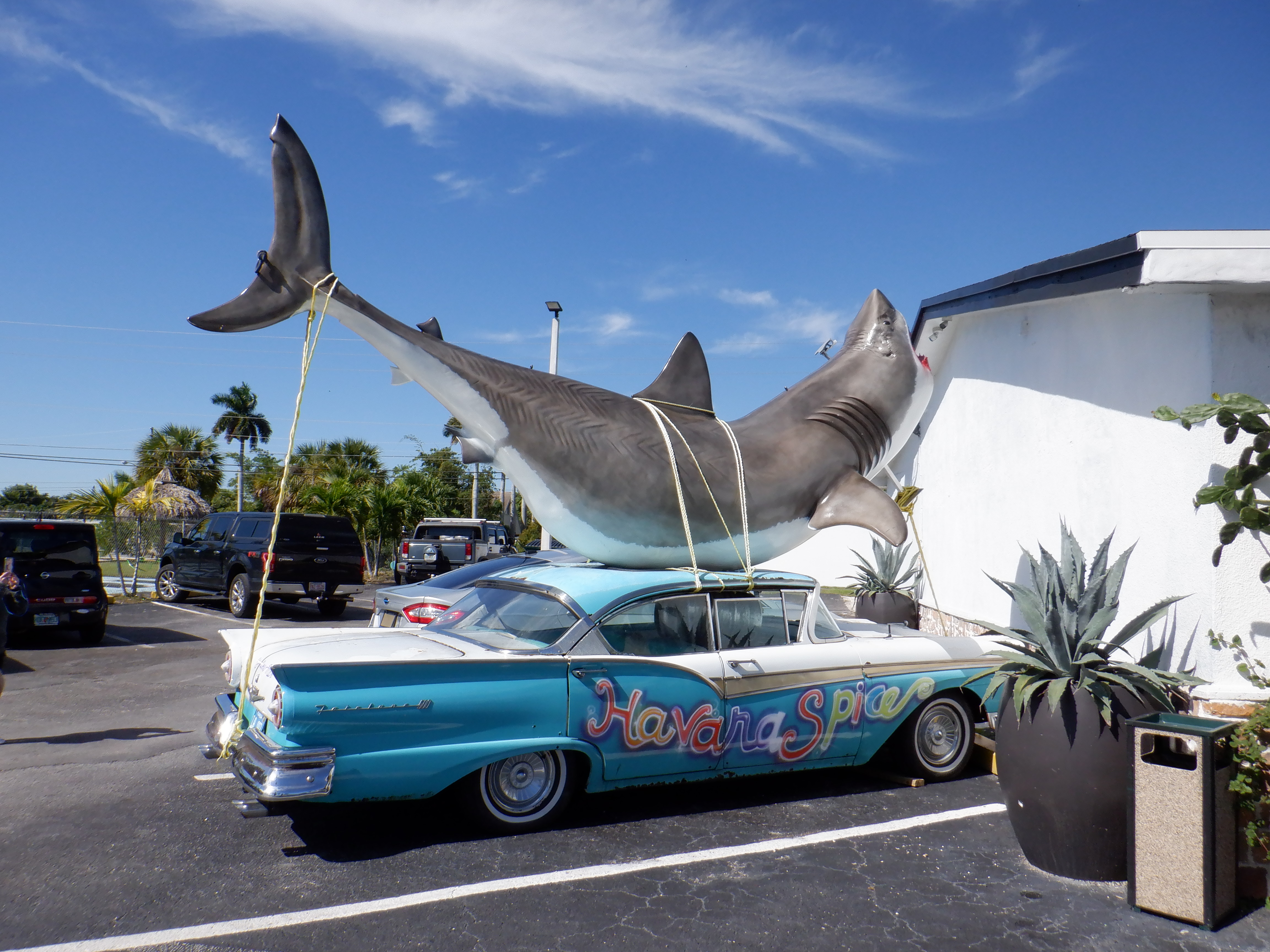 ./2019/14 - Miami/DSCF0303.JPG